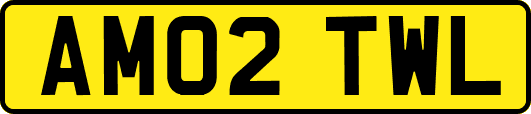 AM02TWL
