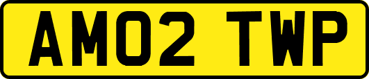 AM02TWP