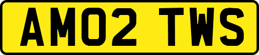 AM02TWS