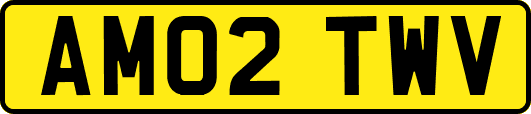AM02TWV