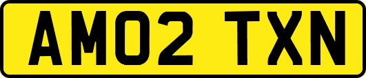AM02TXN
