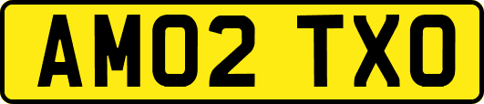 AM02TXO