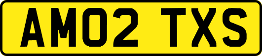 AM02TXS