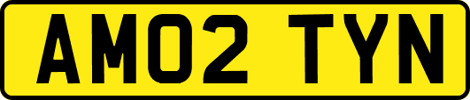 AM02TYN