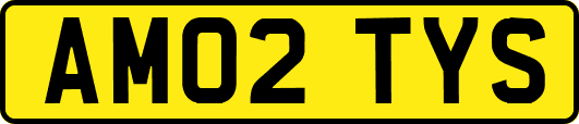 AM02TYS