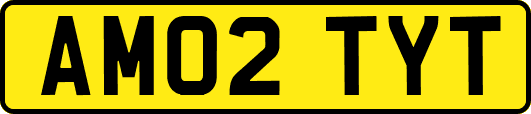 AM02TYT