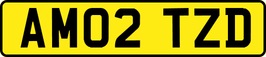 AM02TZD