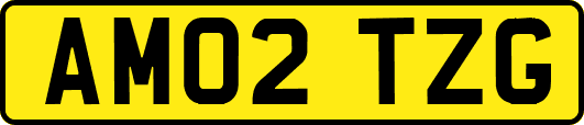 AM02TZG