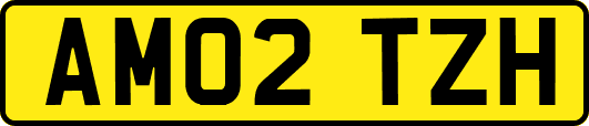 AM02TZH