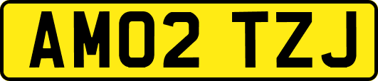 AM02TZJ