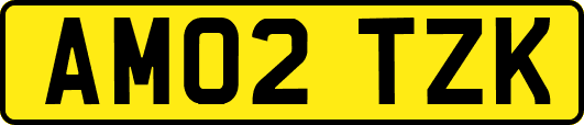 AM02TZK