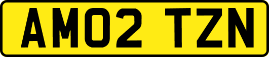 AM02TZN