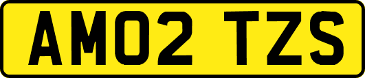 AM02TZS