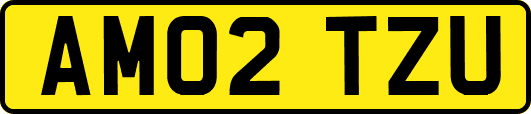 AM02TZU