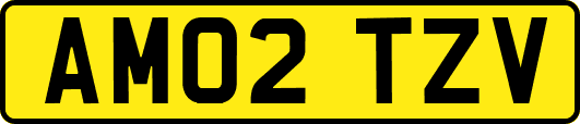 AM02TZV