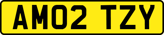 AM02TZY