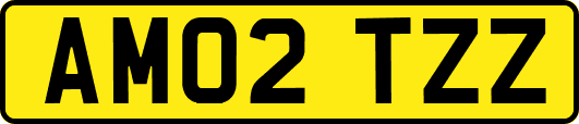 AM02TZZ