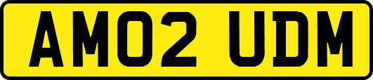 AM02UDM