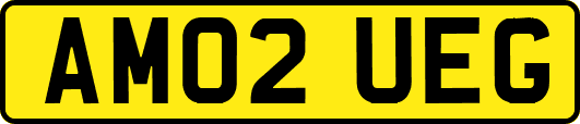 AM02UEG