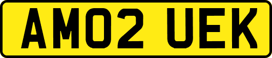 AM02UEK
