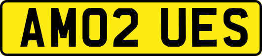 AM02UES