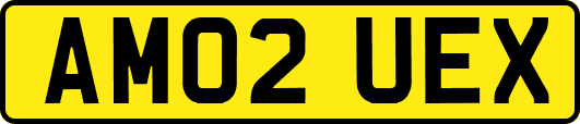 AM02UEX