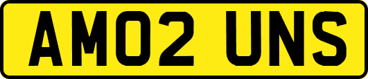 AM02UNS