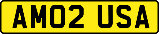 AM02USA