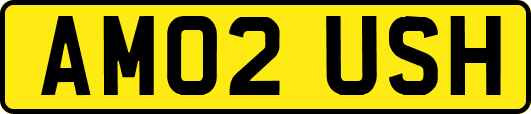 AM02USH