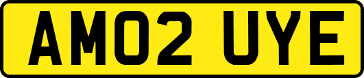 AM02UYE