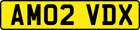 AM02VDX