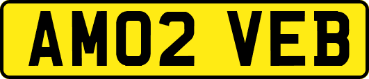 AM02VEB