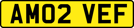 AM02VEF