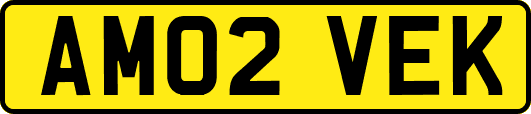 AM02VEK