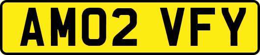 AM02VFY