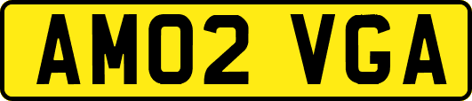 AM02VGA