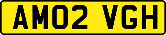 AM02VGH