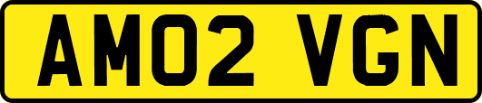 AM02VGN
