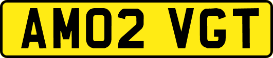 AM02VGT