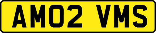 AM02VMS
