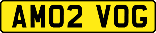 AM02VOG