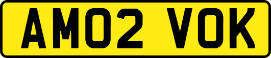 AM02VOK