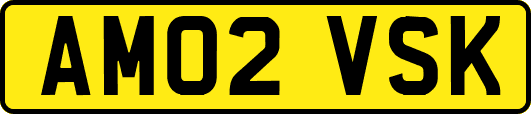 AM02VSK