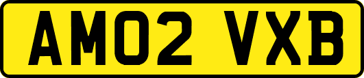 AM02VXB