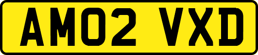 AM02VXD