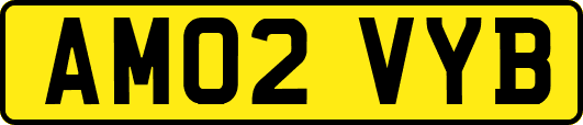 AM02VYB