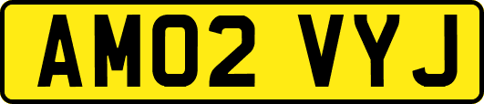 AM02VYJ