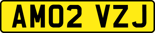 AM02VZJ