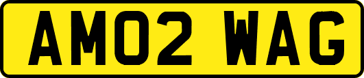 AM02WAG