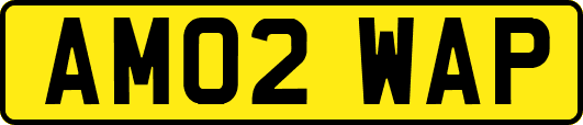 AM02WAP
